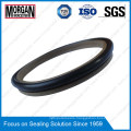 Ad Type Wear Resistance Hydraulic Cylinder Rubber/PTFE Scraper Seal Ring